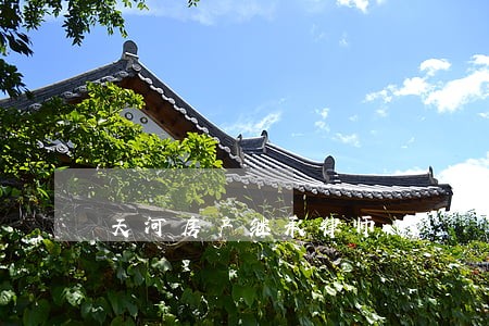 天河房产继承律师 天河房产继承律师