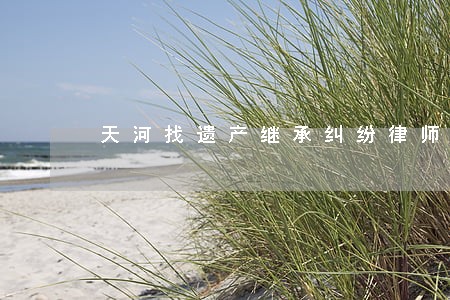 天河找遗产继承纠纷律师收费标准