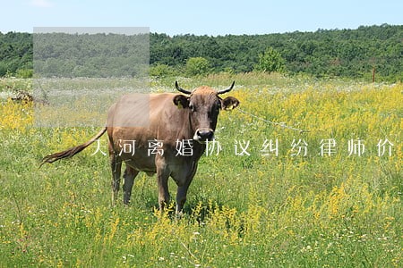 天河离婚协议纠纷律师价格 天河离婚协议纠纷律师价格