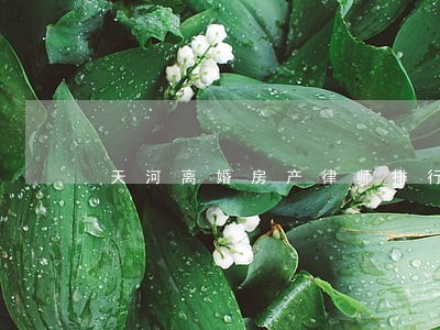 天河离婚房产律师排行 天河离婚房产律师排行