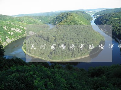 天河离婚损害赔偿律师推荐 天河离婚损害赔偿律师推荐