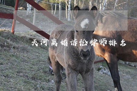 天河离婚诉讼律师排名 天河离婚诉讼律师排名