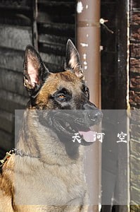 天河空运合同纠纷律师 天河空运合同纠纷律师