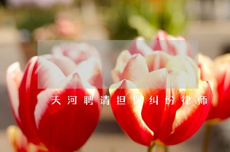 天河聘请担保纠纷律师 天河聘请担保纠纷律师