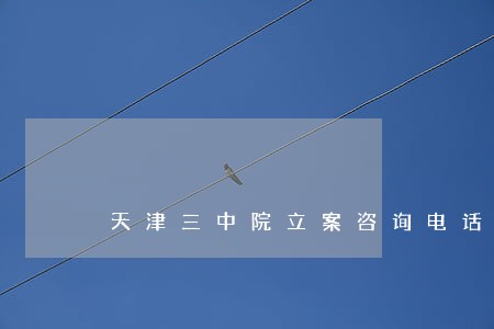 天津三中院立案咨询电话 天津三中院立案咨询电话