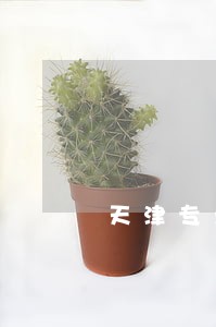 天津专业债务律师介绍 天津专业债务律师介绍