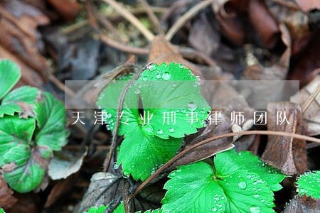 天津专业刑事律师团队 天津专业刑事律师团队