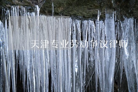 天津专业劳动争议律师 天津专业劳动争议律师