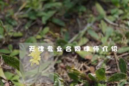 天津专业合同律师介绍 天津专业合同律师介绍