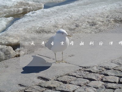 天津专业婚姻纠纷律师电话联系 天津专业婚姻纠纷律师电话联系