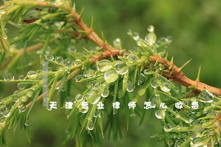 天津专业律师怎么收费 天津专业律师怎么收费
