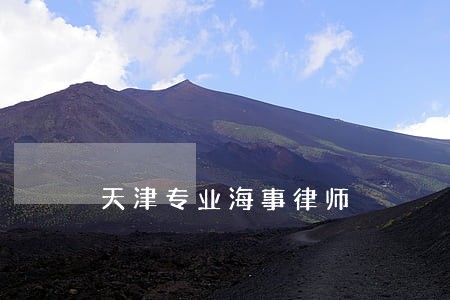 天津专业海事律师 天津专业海事律师