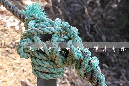 天津专业的债务律师介绍 天津专业的债务律师介绍