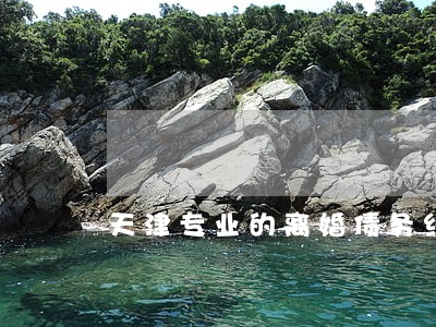 天津专业的离婚债务纠纷律师