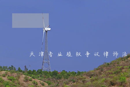 天津专业股权争议律师法律咨询 天津专业股权争议律师法律咨询