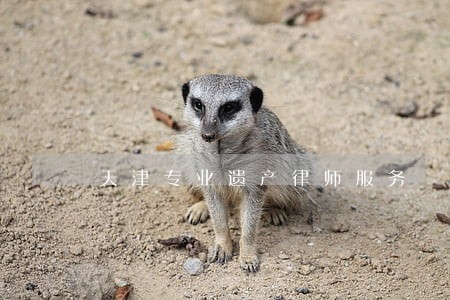 天津专业遗产律师服务 天津专业遗产律师服务