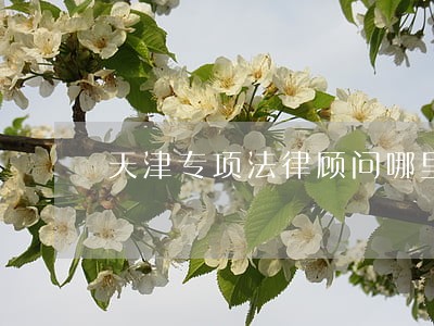 天津专项法律顾问哪里好 天津专项法律顾问哪里好