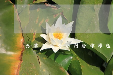 天津东丽劳动纠纷律师电话咨询 天津东丽劳动纠纷律师电话咨询