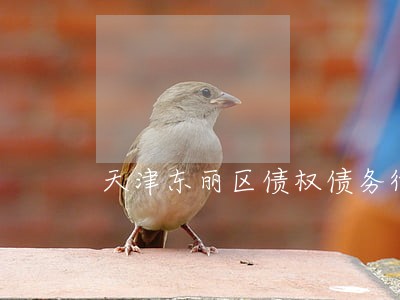 天津东丽区债权债务律师 天津东丽区债权债务律师
