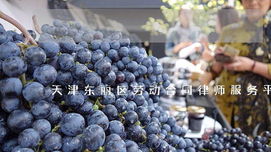 天津东丽区劳动合同律师服务平台 天津东丽区劳动合同律师服务平台