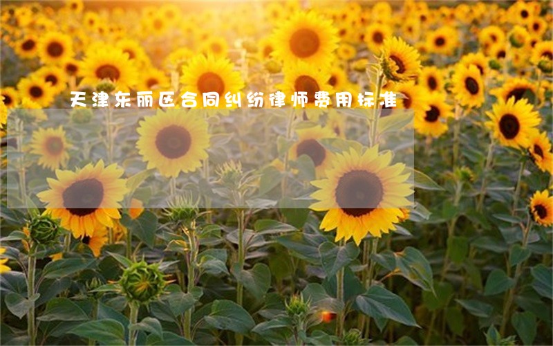 天津东丽区合同纠纷律师费用标准 天津东丽区合同纠纷律师费用标准