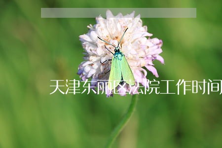 天津东丽区法院工作时间 天津东丽区法院工作时间