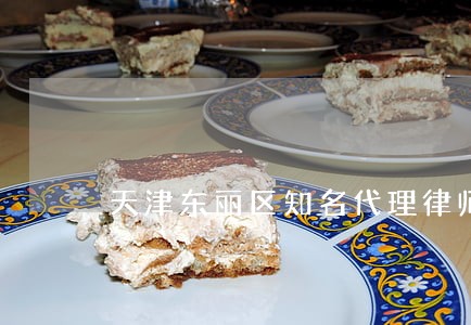 天津东丽区知名代理律师 天津东丽区知名代理律师
