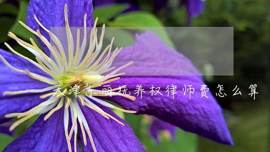 天津东丽抚养权律师费怎么算 天津东丽抚养权律师费怎么算