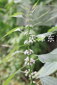 天津东丽法院速录员 天津东丽法院速录员