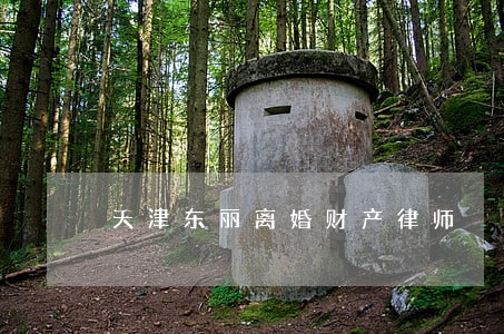天津东丽离婚财产律师 天津东丽离婚财产律师