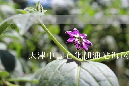 天津中国石化加油站诉讼 天津中国石化加油站诉讼