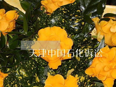 天津中国石化诉讼 天津中国石化诉讼