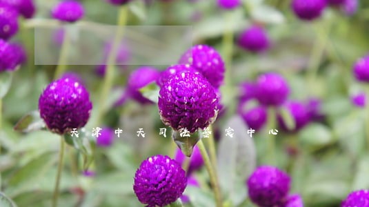 天津中天司法鉴定中心
