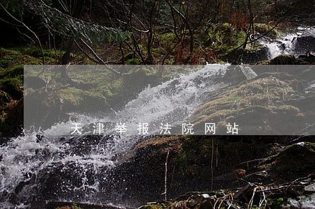 天津举报法院网站
