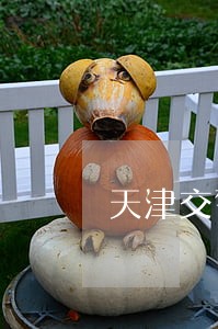 天津交警治理非机动车违法 天津交警治理非机动车违法