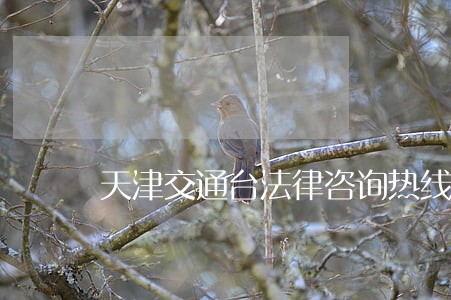 天津交通台法律咨询热线电话 天津交通台法律咨询热线电话