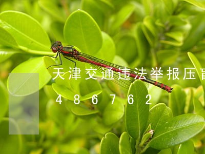 天津交通违法举报压盲道/2023020486762 天津交通违法举报压盲道/2023020486762