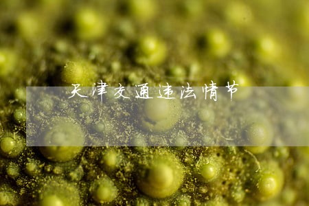 天津交通违法情节 天津交通违法情节
