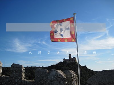 天津交通违法票据 天津交通违法票据