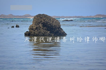 天津代理债务纠纷律师哪里找