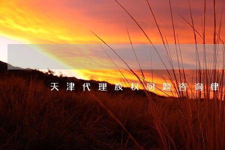 天津代理股权问题咨询律师 天津代理股权问题咨询律师