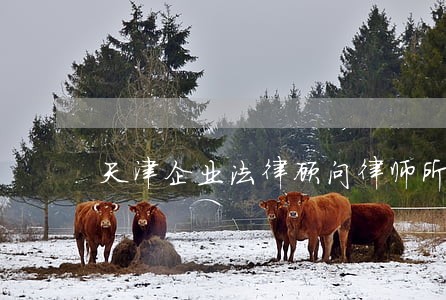 天津企业法律顾问律师所 天津企业法律顾问律师所