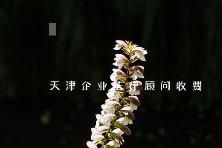 天津企业法律顾问收费 天津企业法律顾问收费
