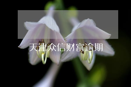 天津众信财富逾期 天津众信财富逾期