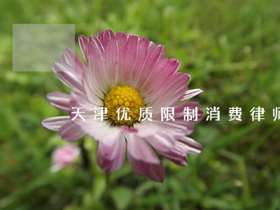 天津优质限制消费律师电话号码