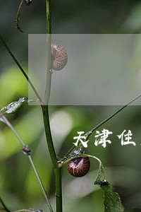 天津住房公积金贷款逾期 天津住房公积金贷款逾期