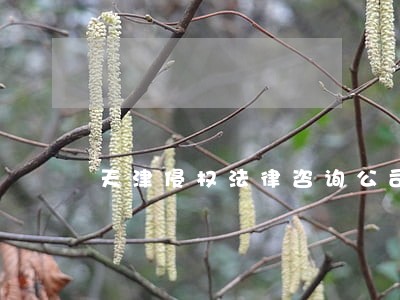天津侵权法律咨询公司 天津侵权法律咨询公司