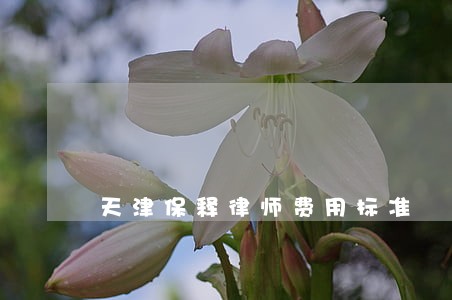 天津保释律师费用标准 天津保释律师费用标准