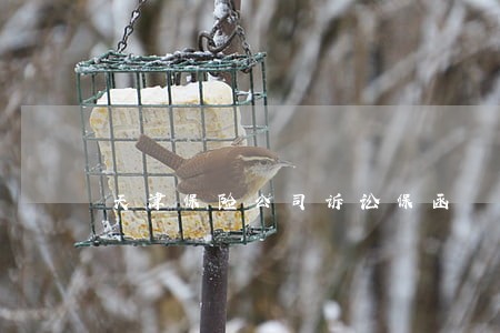 天津保险公司诉讼保函 天津保险公司诉讼保函