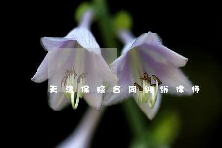 天津保险合同纠纷律师 天津保险合同纠纷律师